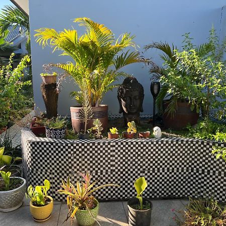 Pasifika Guesthouse Nadi Kültér fotó